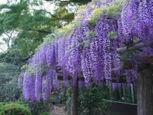5月