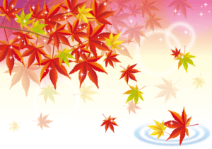 9月