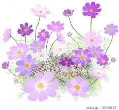10花
